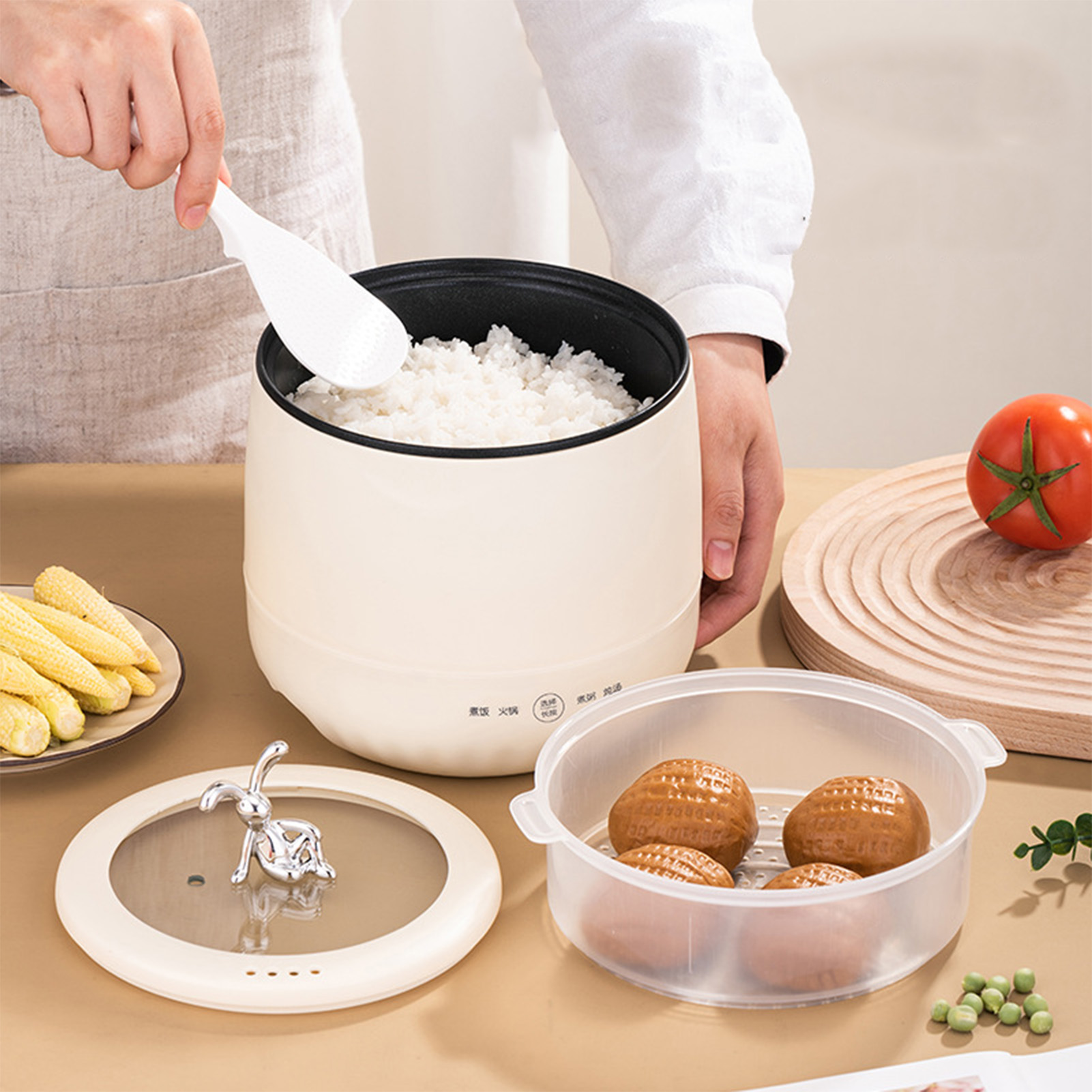 Mini cuiseur à riz électrique  - Meal Prep Rice avis et prix