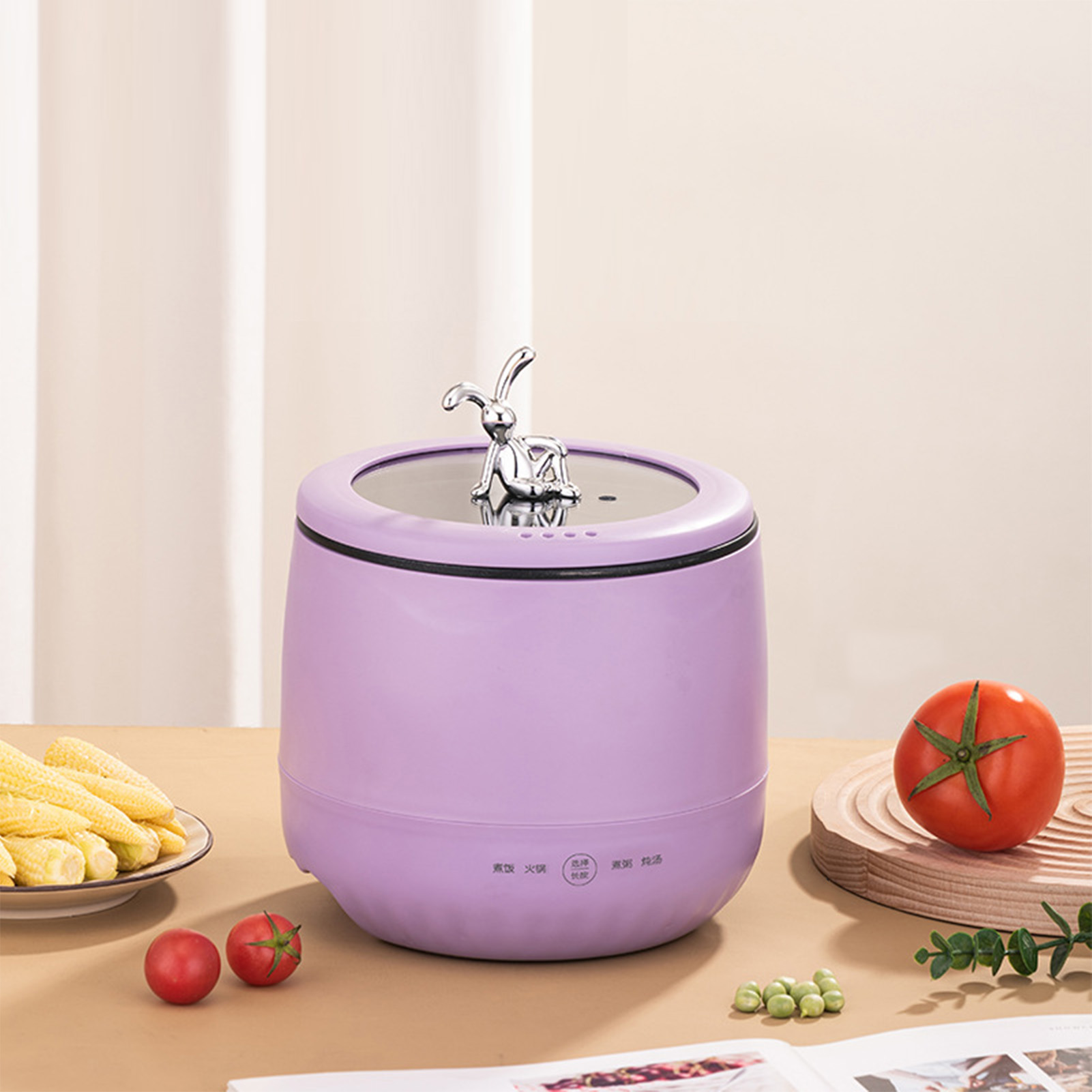 Mini cuiseur à riz électrique  - Meal Prep Rice avis et prix