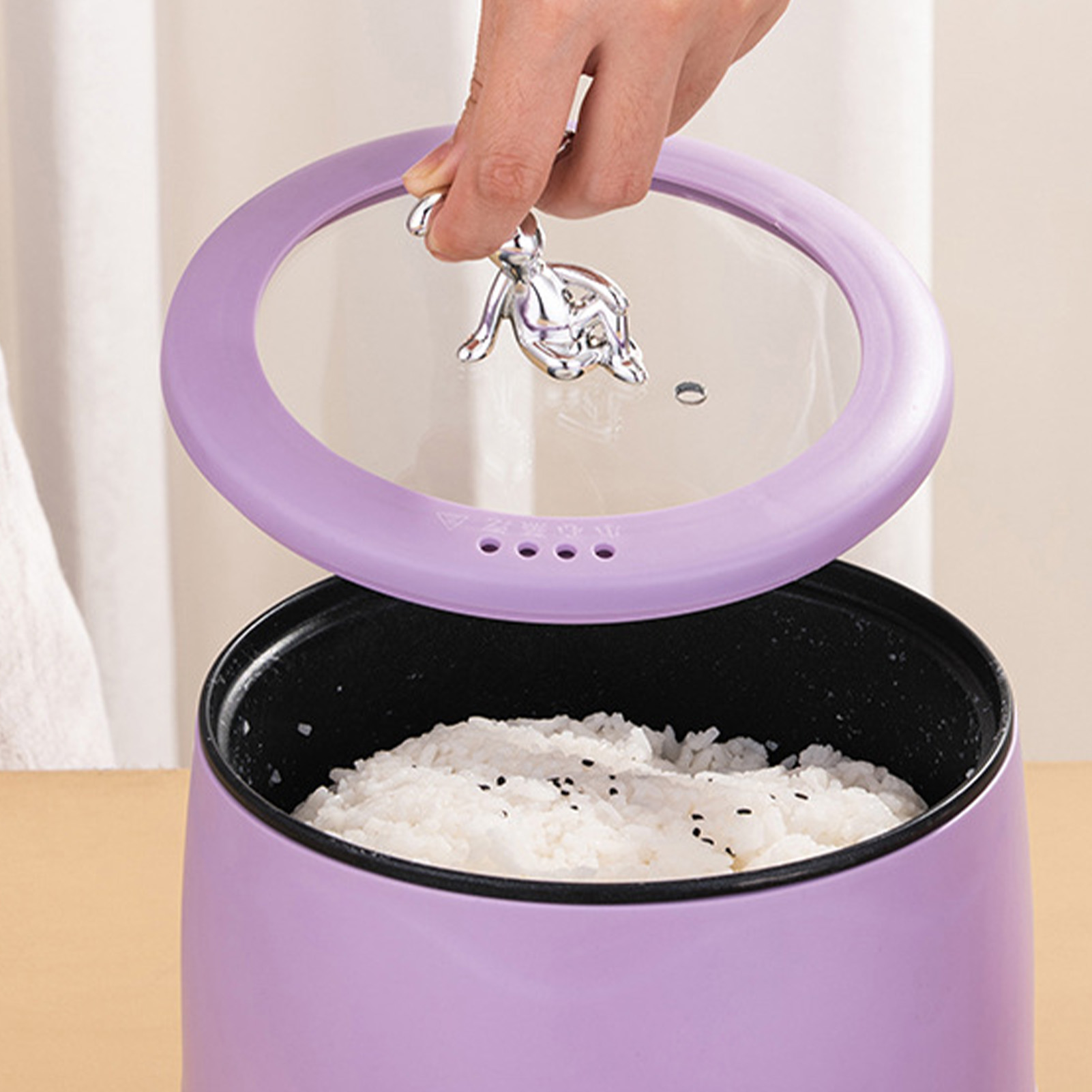 Mini cuiseur à riz électrique  - Meal Prep Rice avis et prix